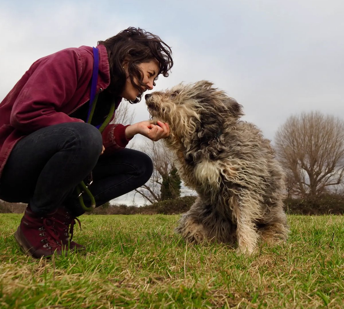 Meghan Butt, reactive dog trainer, connecting with anxious dog in East London